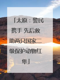 太原：警民携手 先后救助两只国家二级保护动物红隼