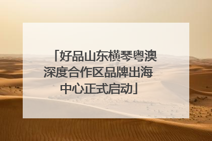 好品山东横琴粤澳深度合作区品牌出海中心正式启动