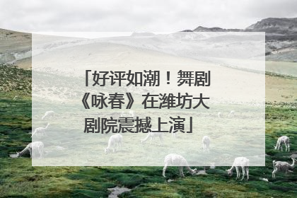 好评如潮！舞剧《咏春》在潍坊大剧院震撼上演