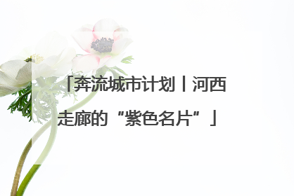 奔流城市计划丨河西走廊的“紫色名片”