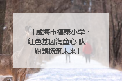 威海市福泰小学：红色基因润童心 队旗飘扬筑未来