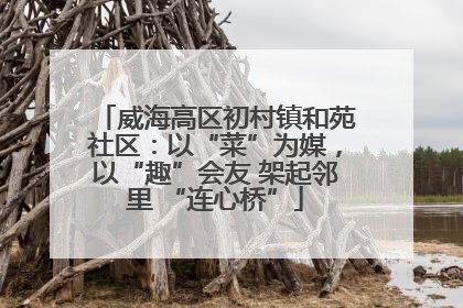 威海高区初村镇和苑社区：以“菜”为媒，以“趣”会友 架起邻里 “连心桥”