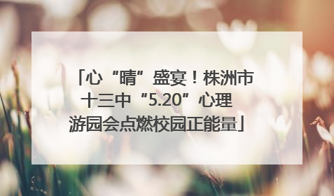 心“晴”盛宴！株洲市十三中“5.20”心理游园会点燃校园正能量