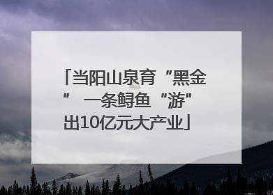 当阳山泉育“黑金” 一条鲟鱼“游”出10亿元大产业