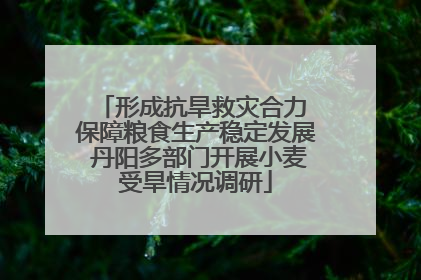 形成抗旱救灾合力 保障粮食生产稳定发展 丹阳多部门开展小麦受旱情况调研