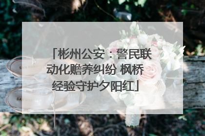 彬州公安：警民联动化赡养纠纷 枫桥经验守护夕阳红