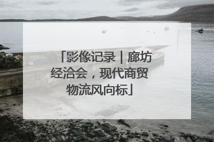 影像记录｜廊坊经洽会，现代商贸物流风向标
