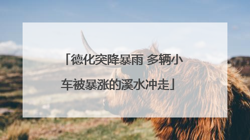 德化突降暴雨 多辆小车被暴涨的溪水冲走