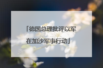 德国总理批评以军在加沙军事行动