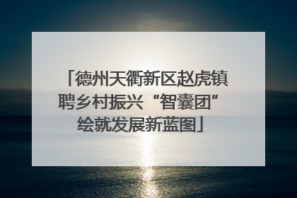 德州天衢新区赵虎镇聘乡村振兴“智囊团” 绘就发展新蓝图
