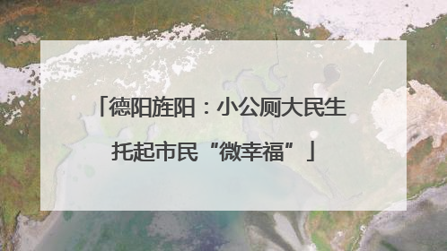 德阳旌阳：小公厕大民生 托起市民“微幸福”
