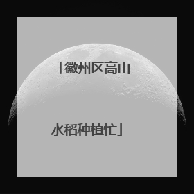 徽州区高山水稻种植忙