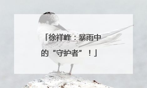 徐祥峰：暴雨中的“守护者”！