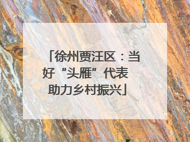 徐州贾汪区：当好“头雁”代表 助力乡村振兴