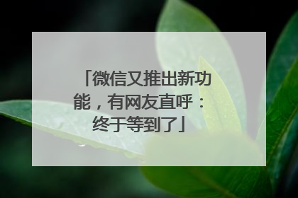 微信又推出新功能，有网友直呼：终于等到了