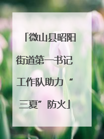 微山县昭阳街道第一书记工作队助力“三夏”防火