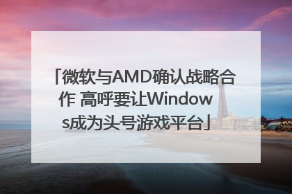 微软与AMD确认战略合作 高呼要让Windows成为头号游戏平台