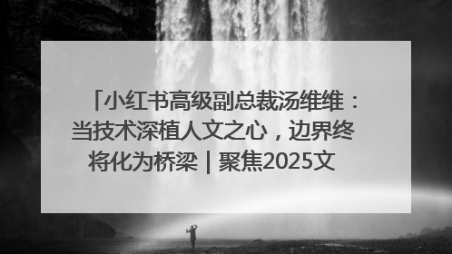 小红书高级副总裁汤维维：当技术深植人文之心，边界终将化为桥梁｜聚焦2025文化强国建设高峰论坛
