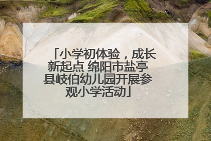 小学初体验，成长新起点 绵阳市盐亭县岐伯幼儿园开展参观小学活动