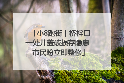 小8跑街｜桥梓口一处井盖破损存隐患 市民盼立即整修