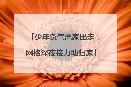 少年负气离家出走，网格深夜接力助归家