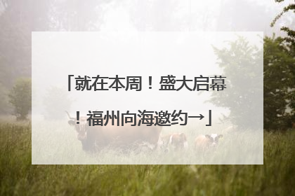 就在本周！盛大启幕！福州向海邀约→