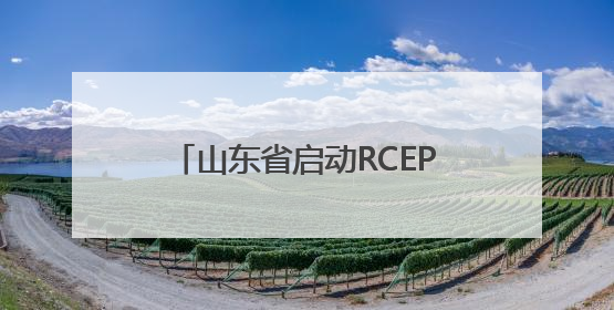 山东省启动RCEP政策集中宣传月活动