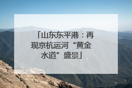 山东东平港：再现京杭运河“黄金水道”盛景
