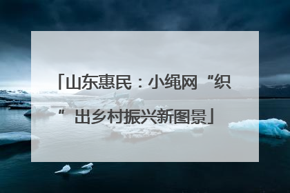山东惠民：小绳网“织”出乡村振兴新图景