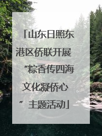 山东日照东港区侨联开展“粽香传四海 文化凝侨心”主题活动