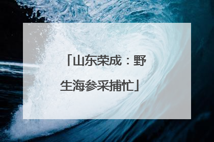 山东荣成：野生海参采捕忙