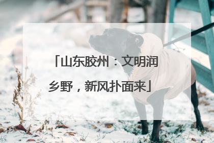 山东胶州：文明润乡野，新风扑面来