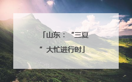 山东：“三夏”大忙进行时