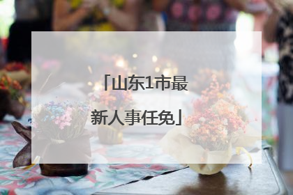 山东1市最新人事任免