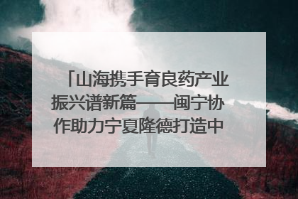 山海携手育良药产业振兴谱新篇——闽宁协作助力宁夏隆德打造中药材产业高地