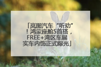 岚图汽车“听劝”！鸿蒙座舱5首搭，FREE+湾区车展实车内饰正式曝光