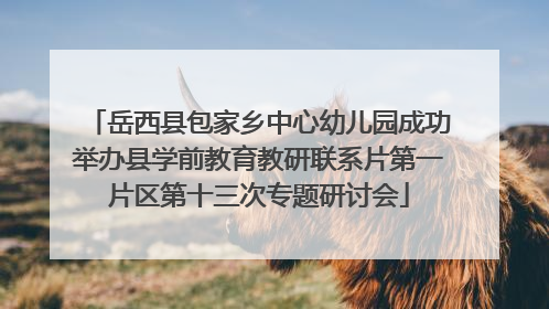 岳西县包家乡中心幼儿园成功举办县学前教育教研联系片第一片区第十三次专题研讨会