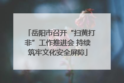 岳阳市召开“扫黄打非”工作推进会 持续筑牢文化安全屏障