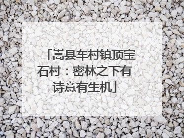 嵩县车村镇顶宝石村：密林之下有诗意有生机