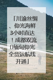 川渝丝绸、仰光海鲜3小时直达！成都双流⇌缅甸仰光全货运航线开通