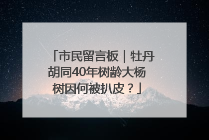 市民留言板｜牡丹胡同40年树龄大杨树因何被扒皮？