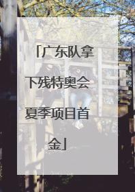 广东队拿下残特奥会夏季项目首金