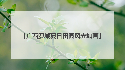 广西罗城夏日田园风光如画