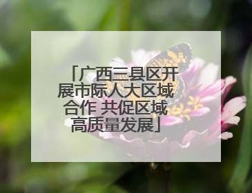广西三县区开展市际人大区域合作 共促区域高质量发展