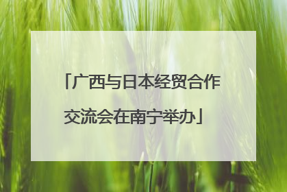 广西与日本经贸合作交流会在南宁举办