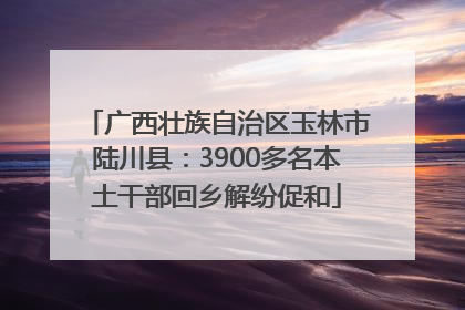 广西壮族自治区玉林市陆川县：3900多名本土干部回乡解纷促和