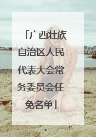广西壮族自治区人民代表大会常务委员会任免名单