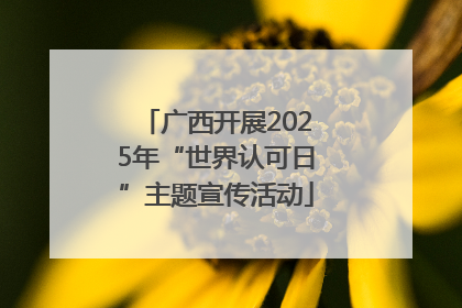 广西开展2025年“世界认可日”主题宣传活动