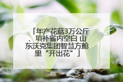 年产花菇3万公斤、填补省内空白 山东沃克集团智慧方舱里“开出花”