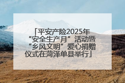 平安产险2025年“安全生产月”活动暨“乡风文明”爱心捐赠仪式在菏泽单县举行